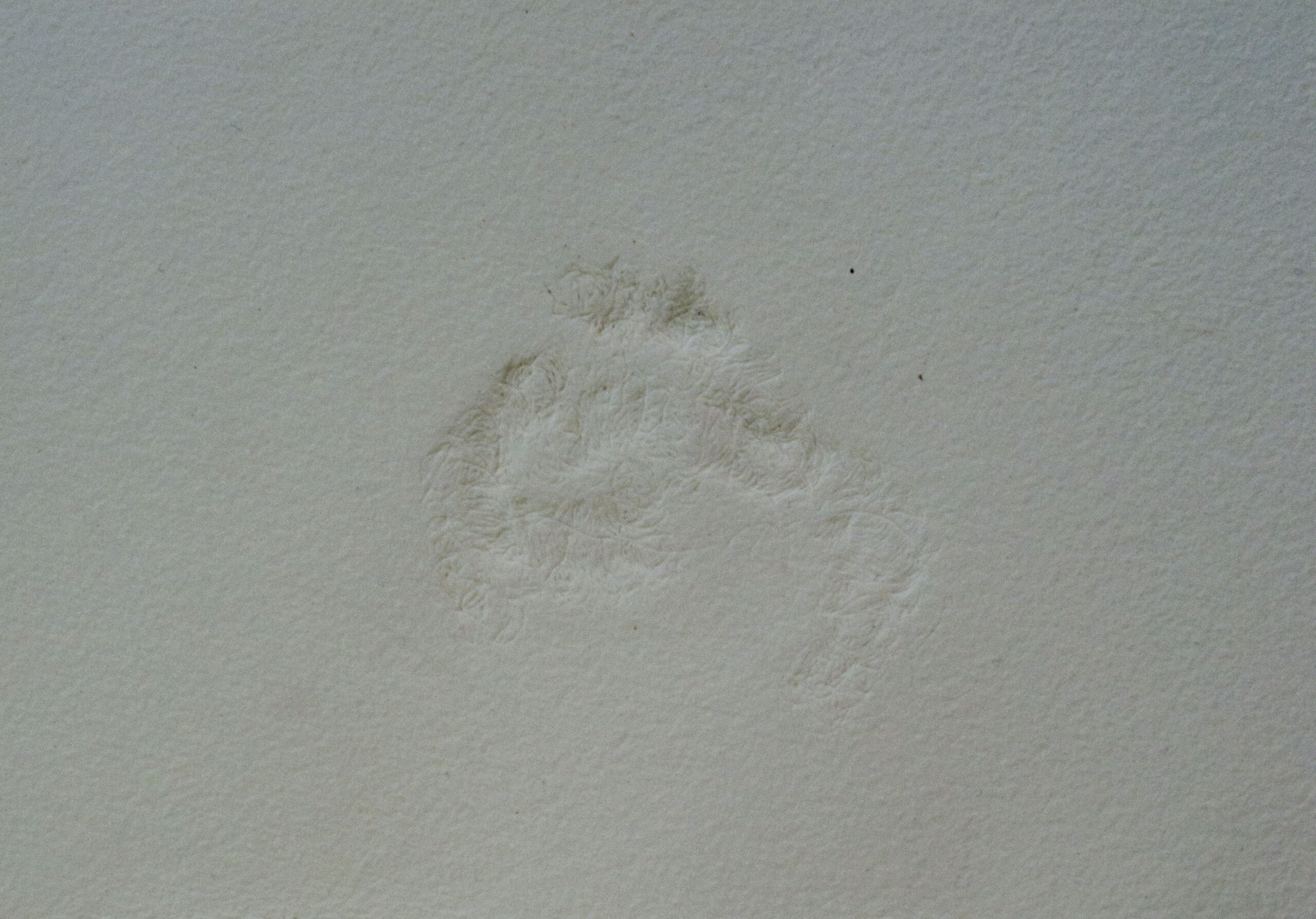 intaglio de alambre sobre papel de algodon